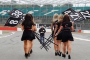 GT1: Silverstone : De startgrid in beeld gebracht