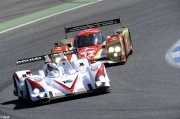 LMS Estoril