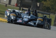 Level 5 - HPD ARX-03b