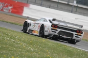 FIA GT de race in beeld