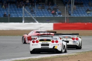 FIA GT de race in beeld