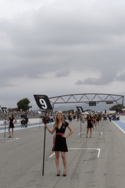 GT1: Paul Ricard: De grid van de Championship race in beeld gebracht